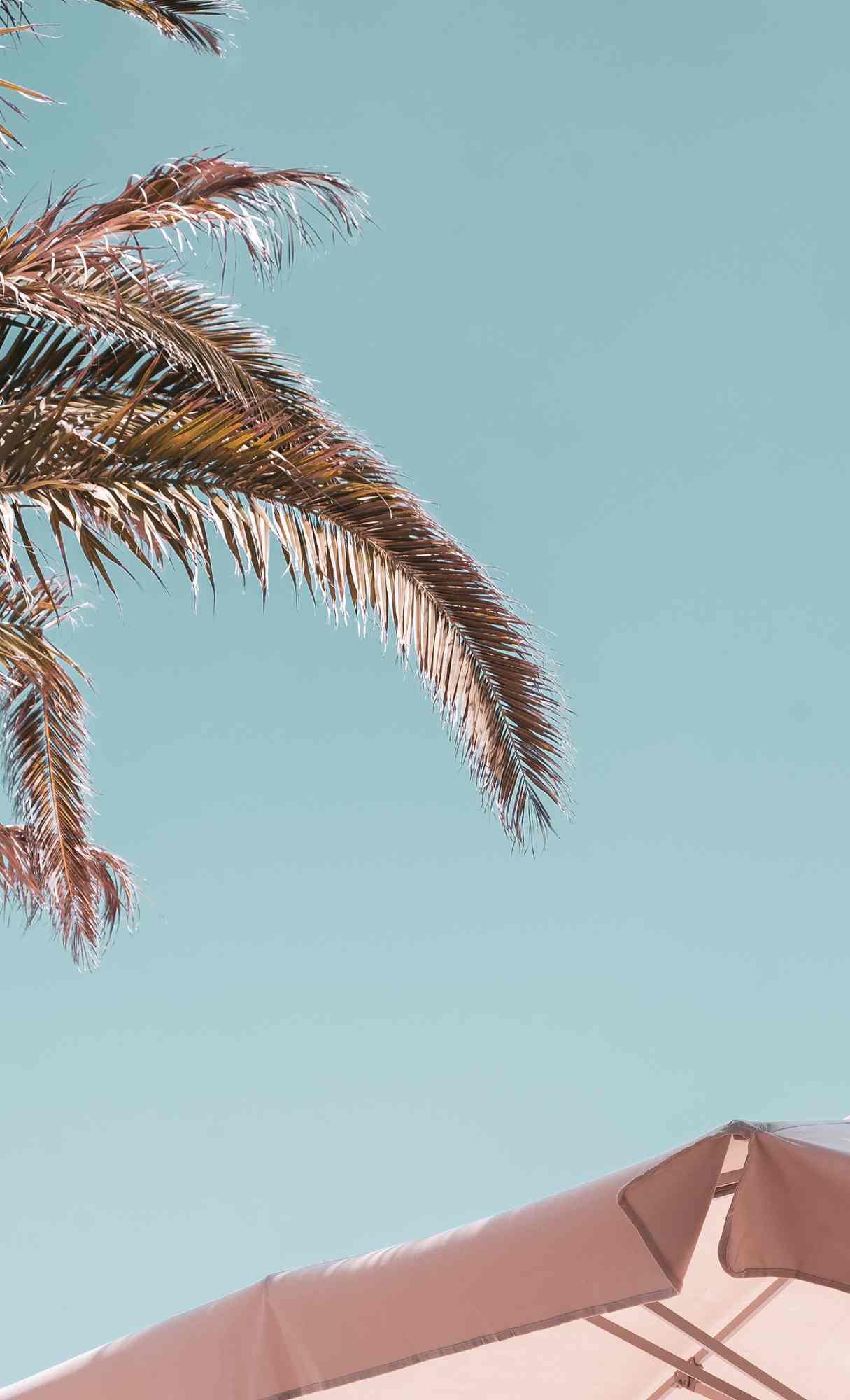 free hd wallpaper