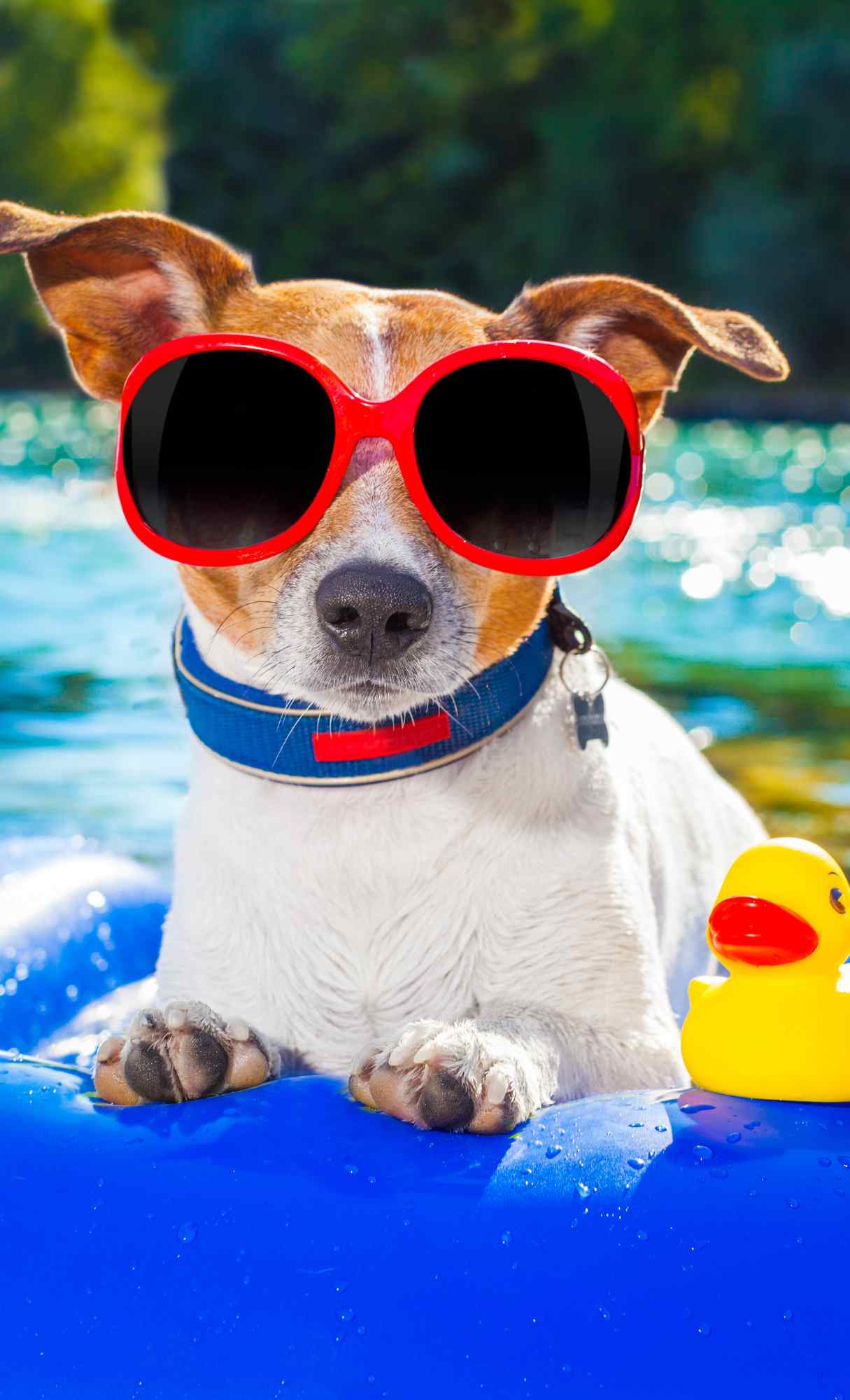 cute summer iphone wallpaper