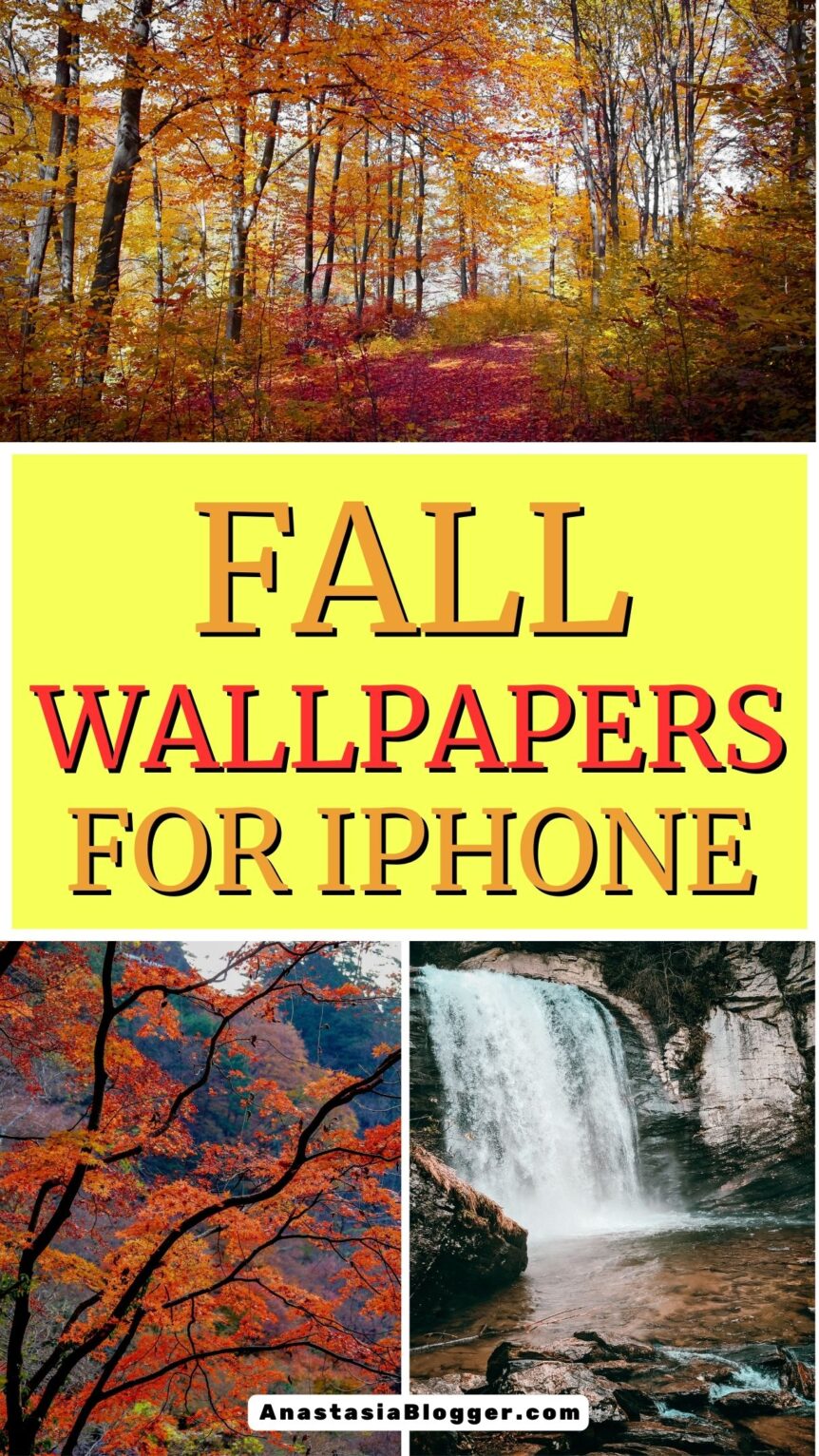 Fall Wallpapers for iPhone - FREE Download Best Autumn Wallpapers