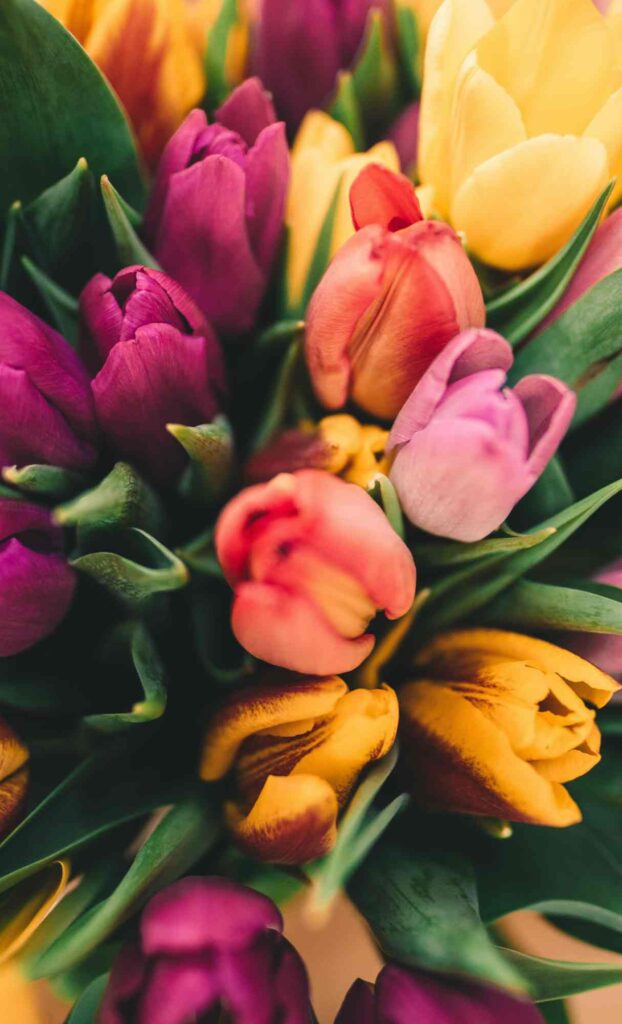 20+ Spring Wallpapers for iPhone - HD Quality Spring Backgrounds [Free ...