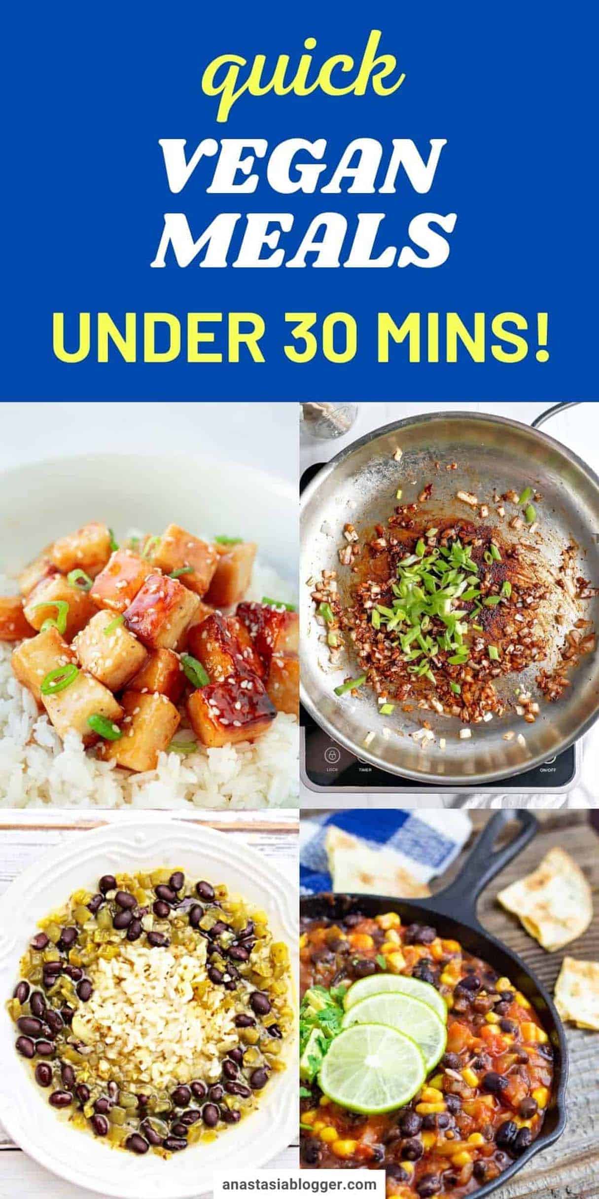Vegan Meal Ideas