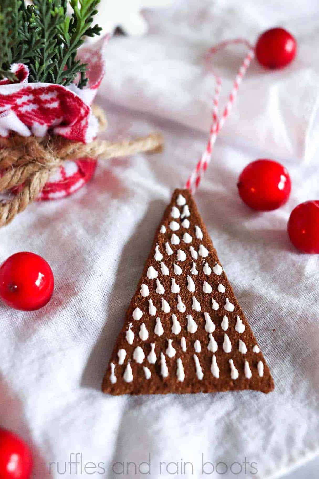 DIY Spice Christmas Ornament Craft Idea