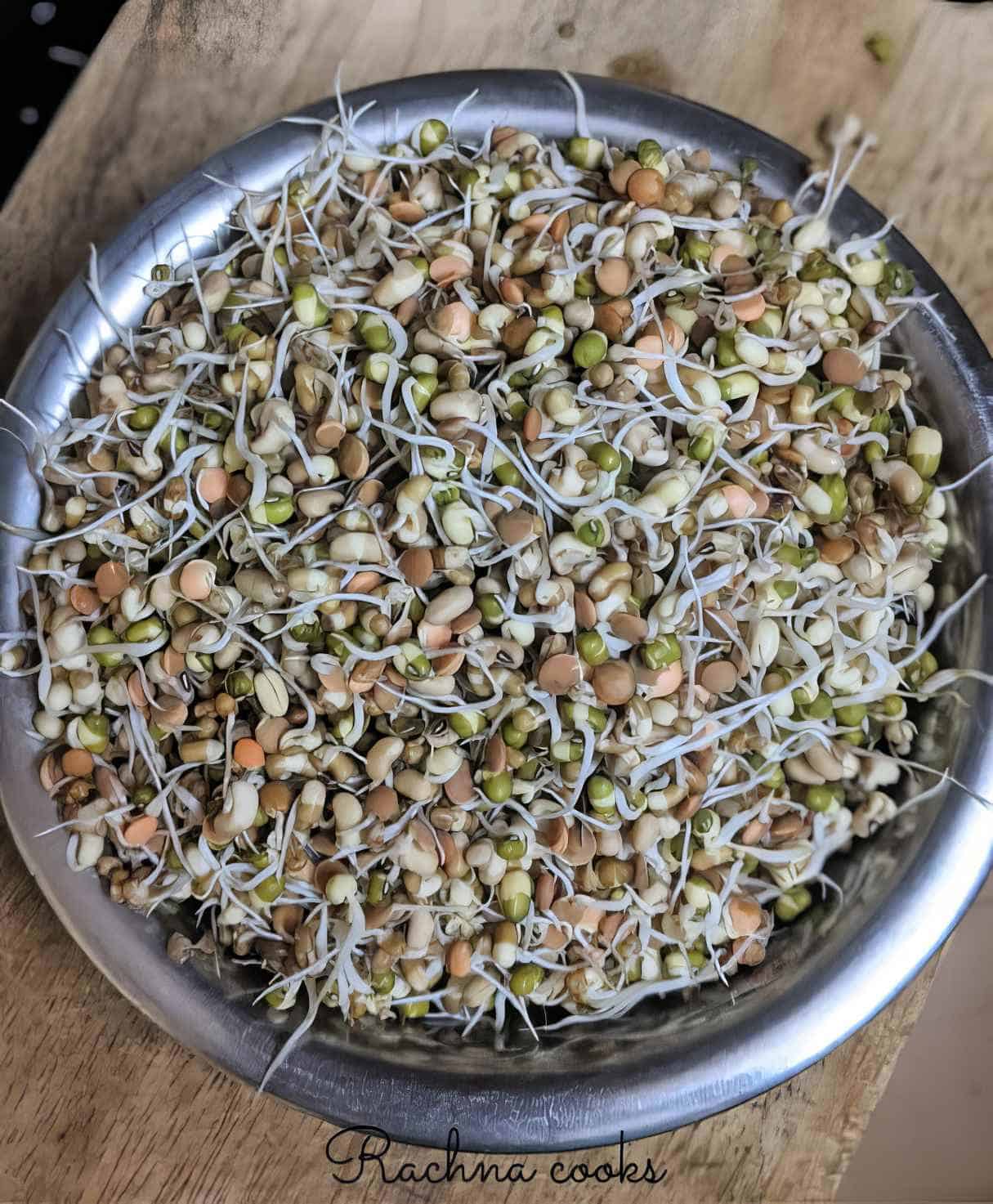 Vegan Sprouted Lentil Salad Recipe