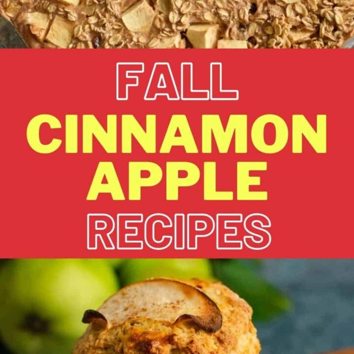 15 Cinnamon Apple Recipes | Healthy Fall Recipes