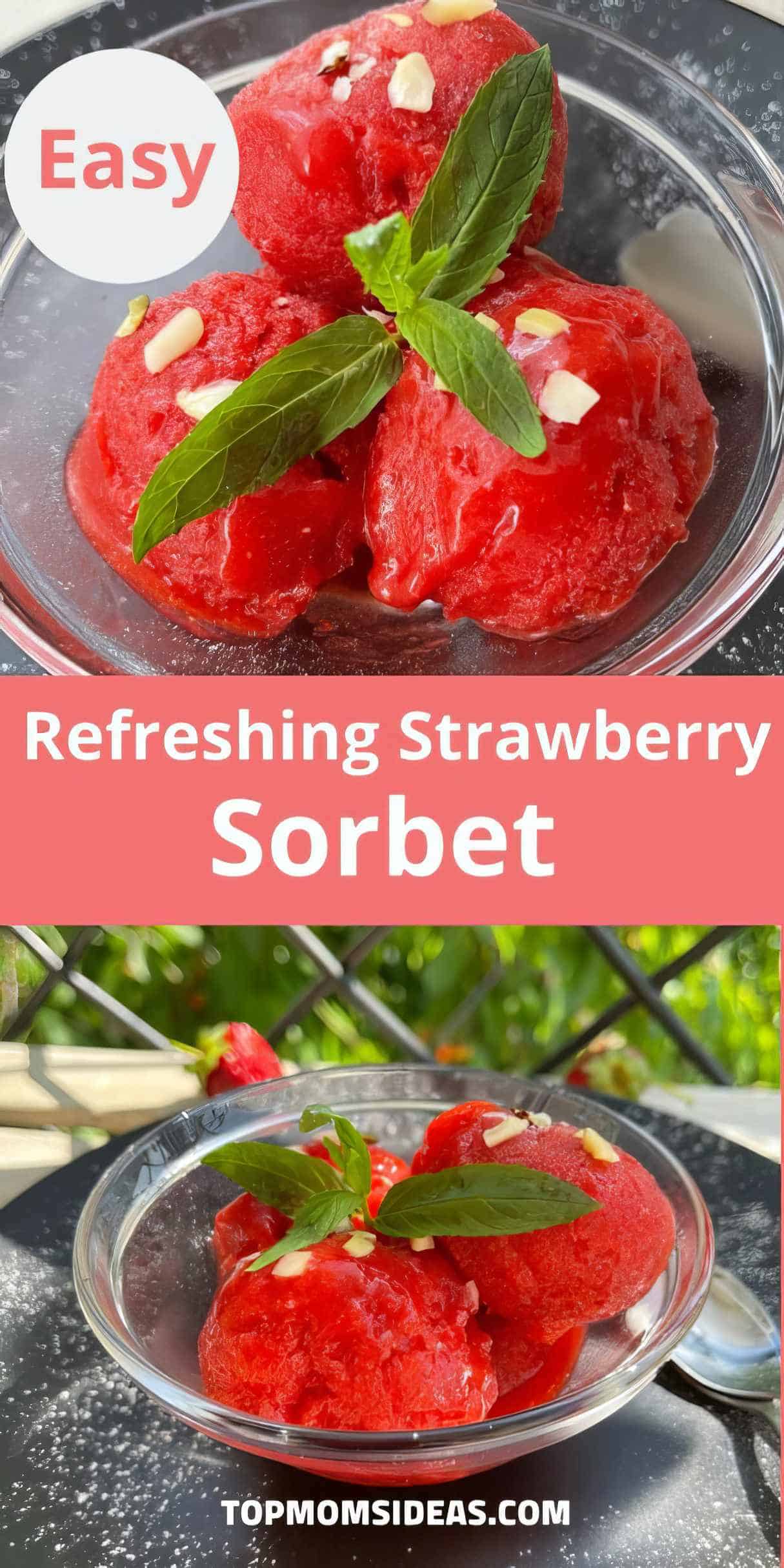 Best Summer Refreshing Strawberry Sorbet