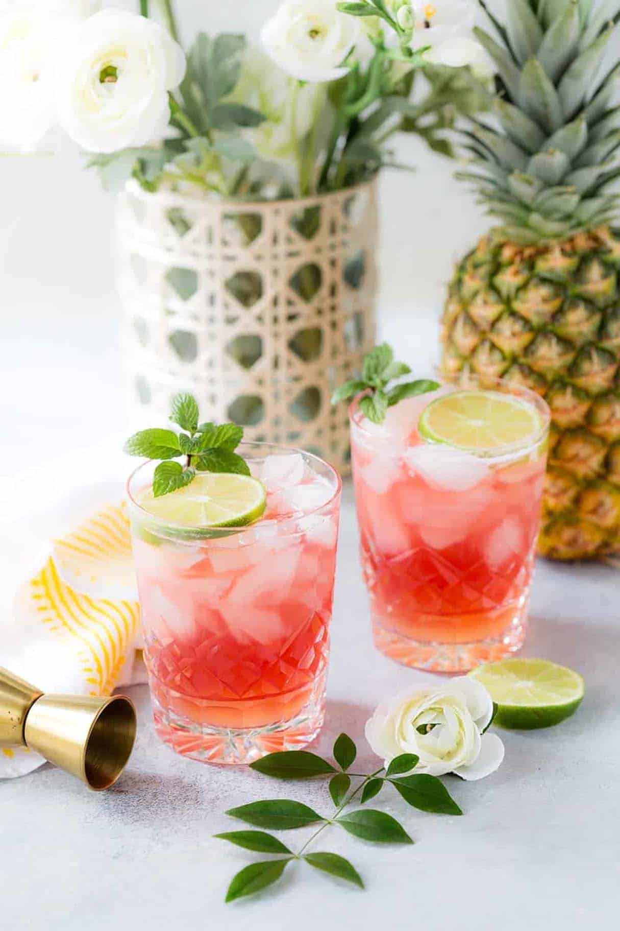 Classic Bay Breeze Cocktail