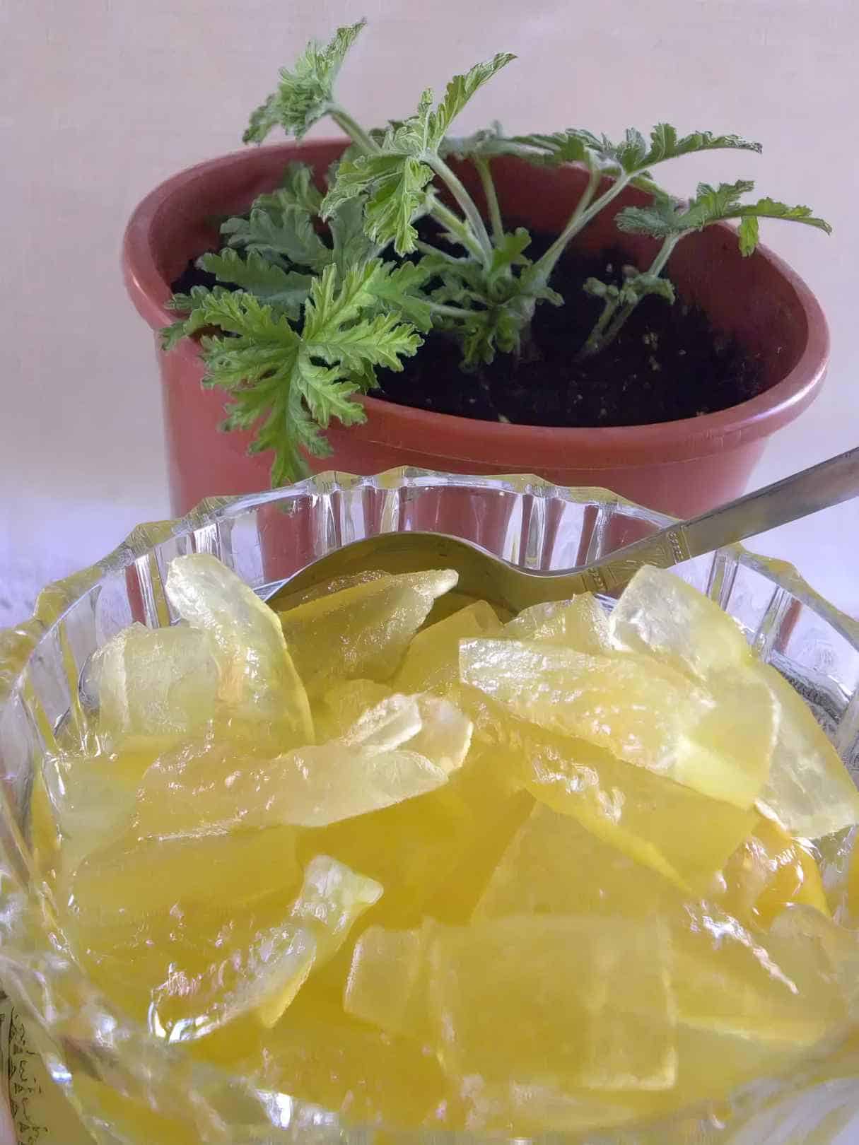 Glyko Karpouzi - Watermelon Rind Preserve (Spoon Sweet)
