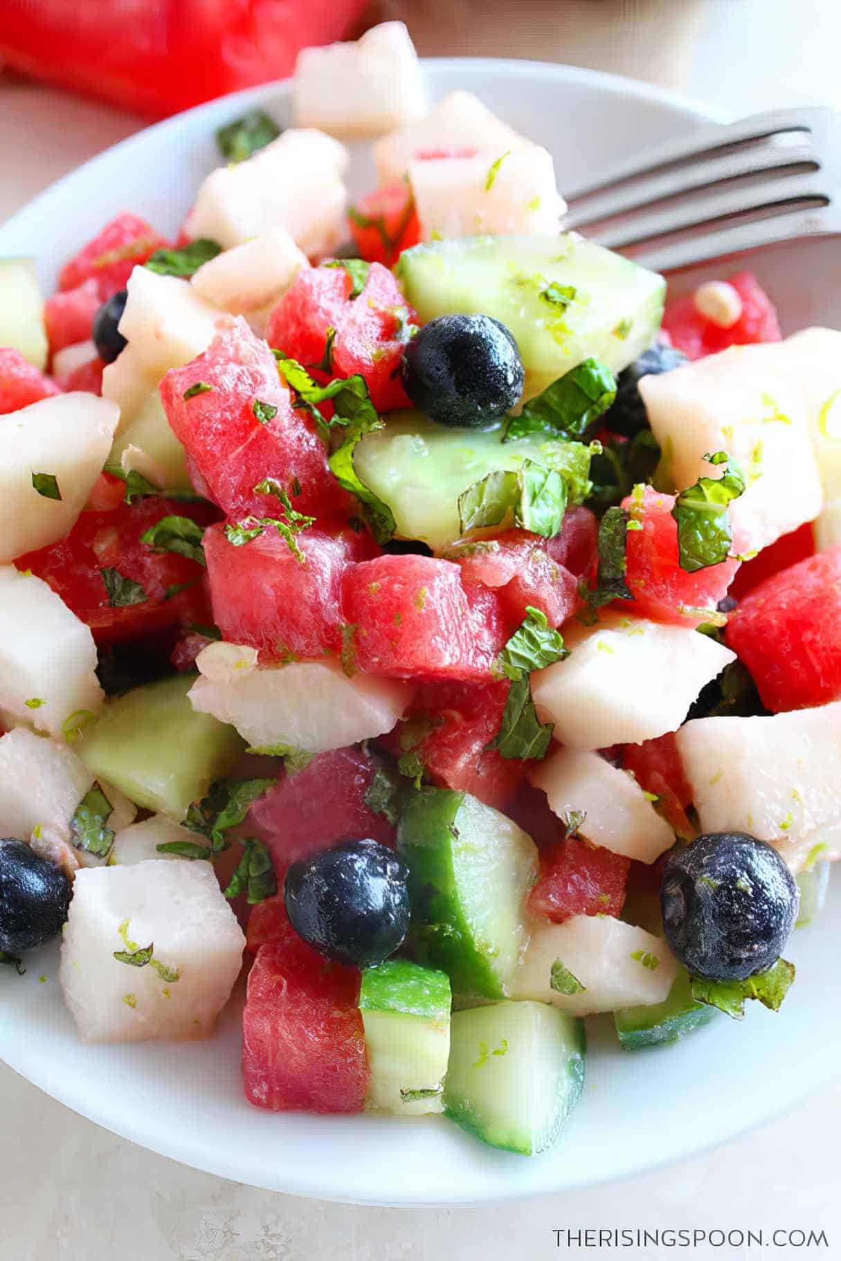 Watermelon, Cucumber & Jicama Salad with Coconut Lime Dressing (Paleo & Vegan)