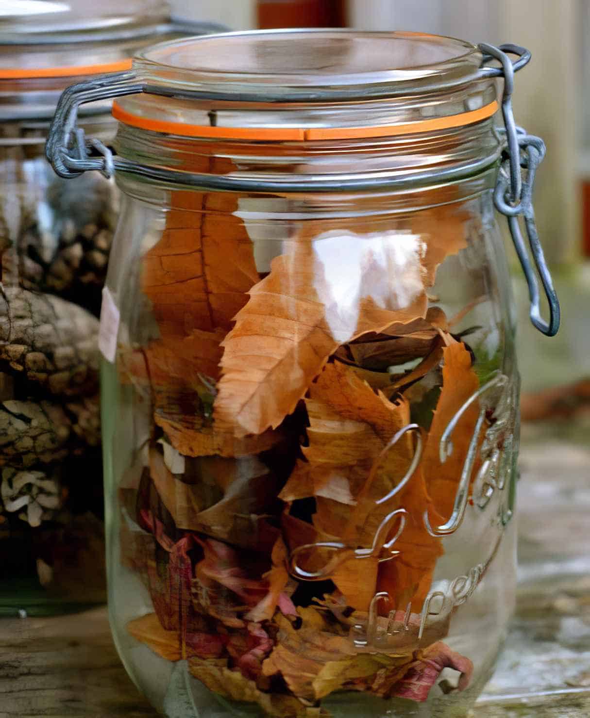 Autumn Estimating Jars