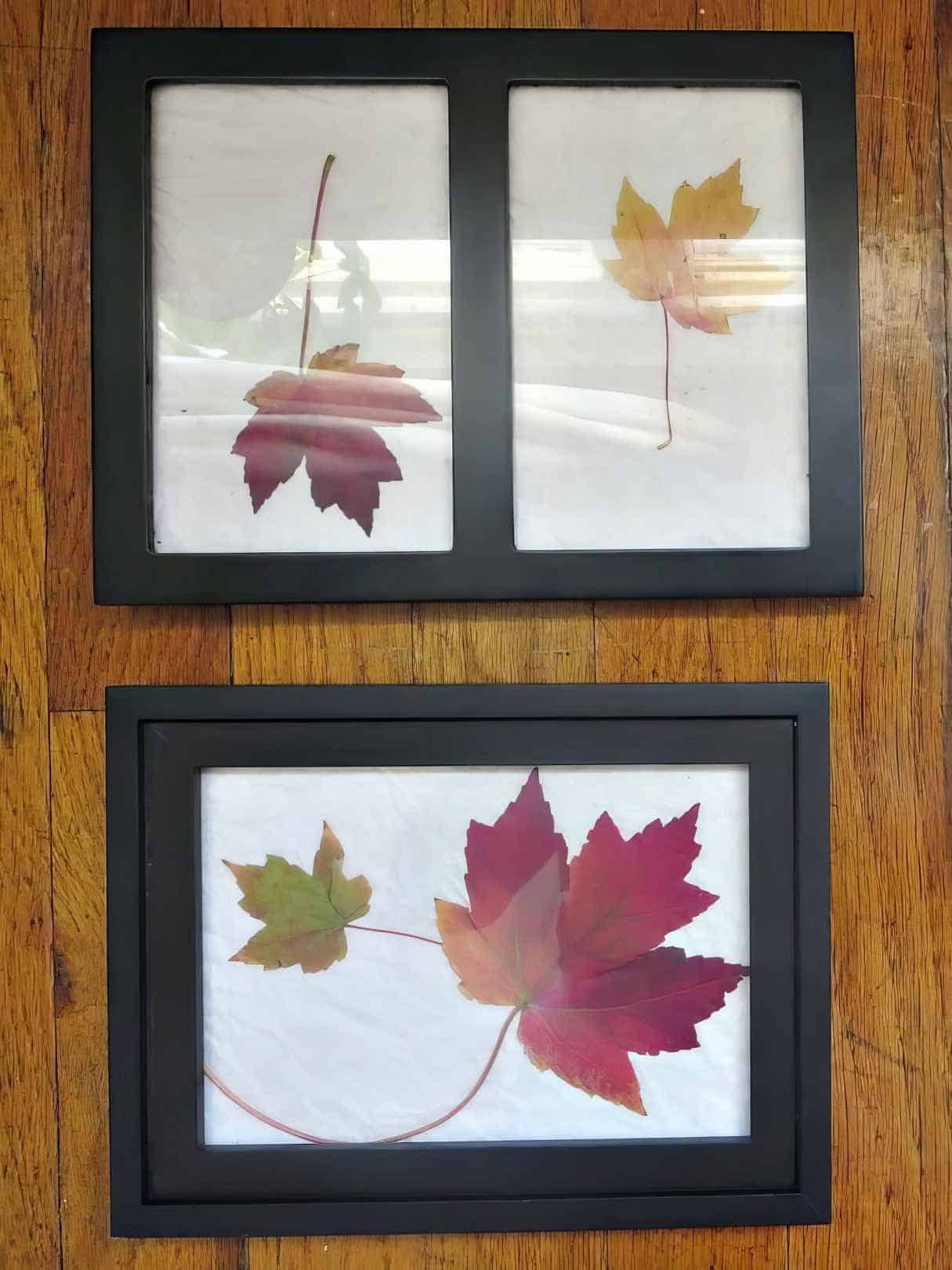 How to Easily Add Fall in Your Home