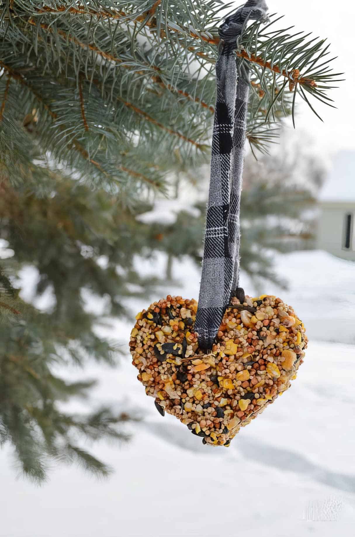 Valentine Bird Feeder Hearts DIY Craft
