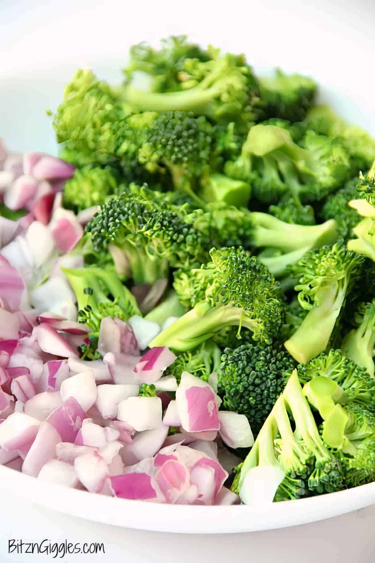 Cheddar Broccoli Pasta Salad