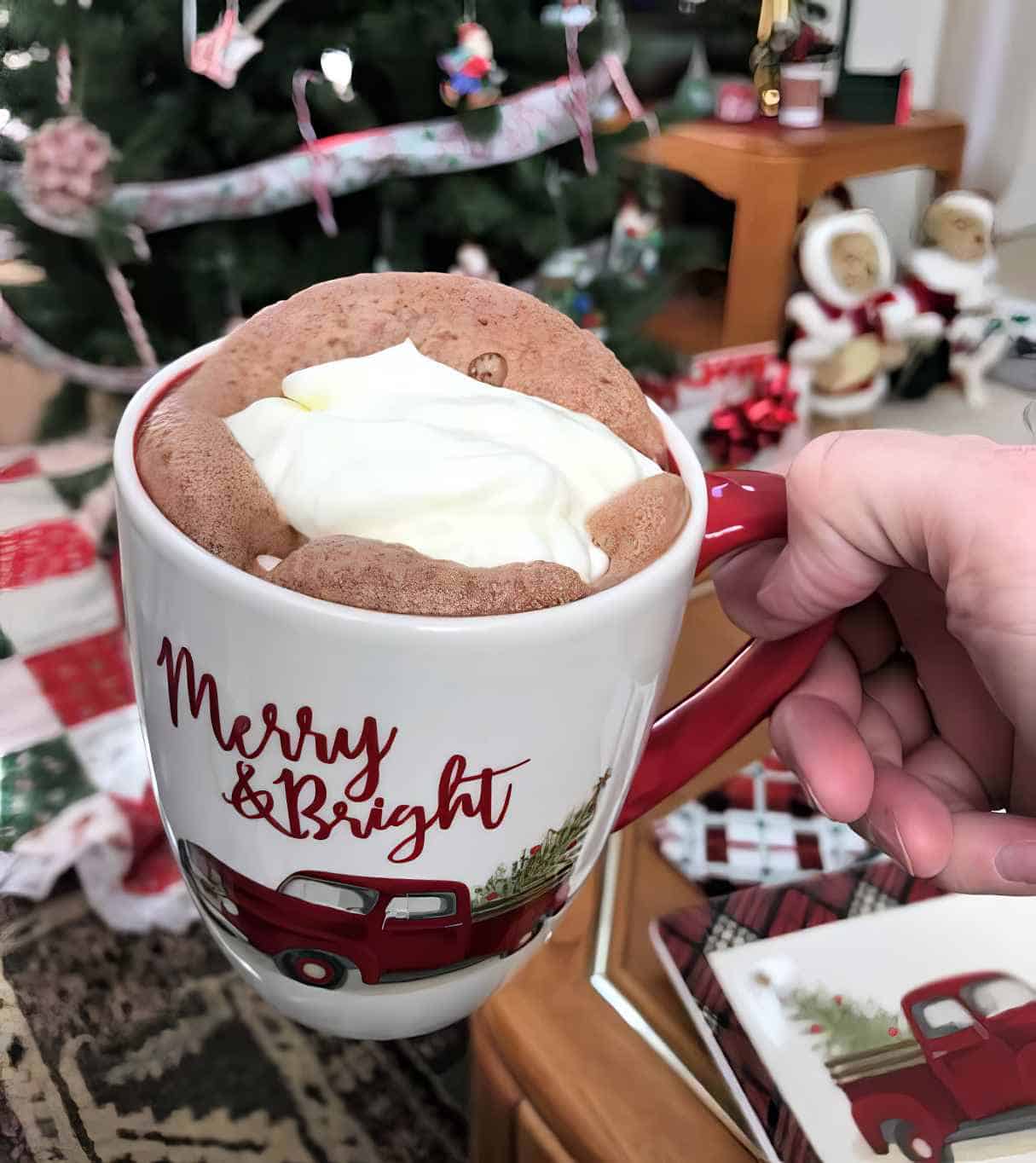 Creating Christmas Treats With The Vitamix Aer Disc Container
