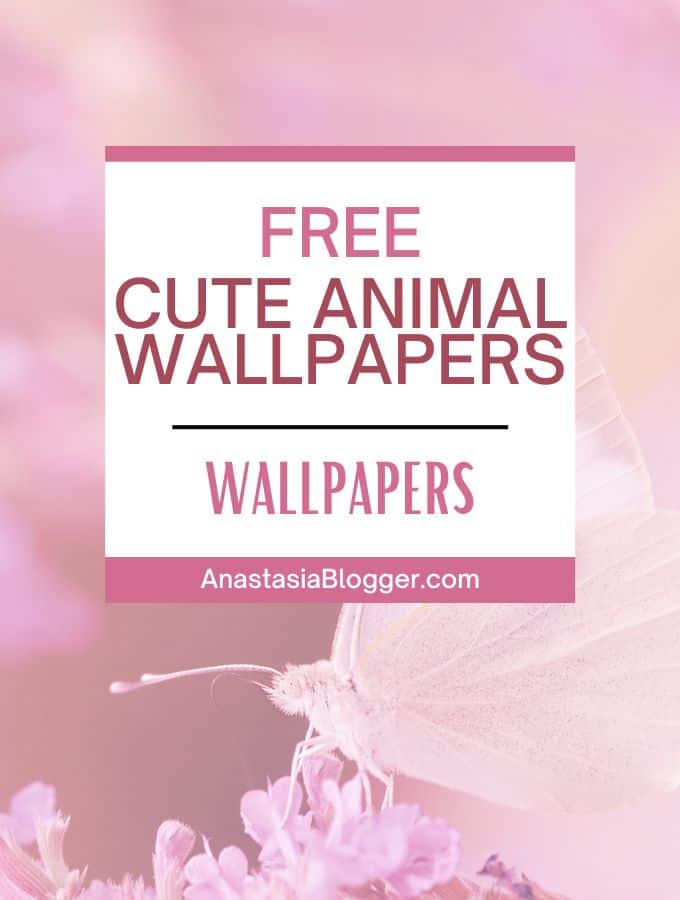 cute animal wallpapers