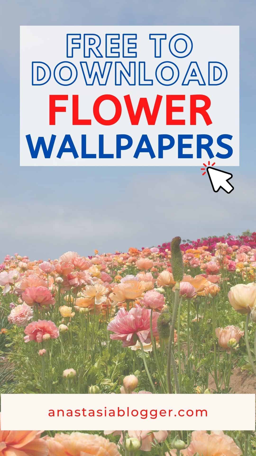free flower wallpaper background