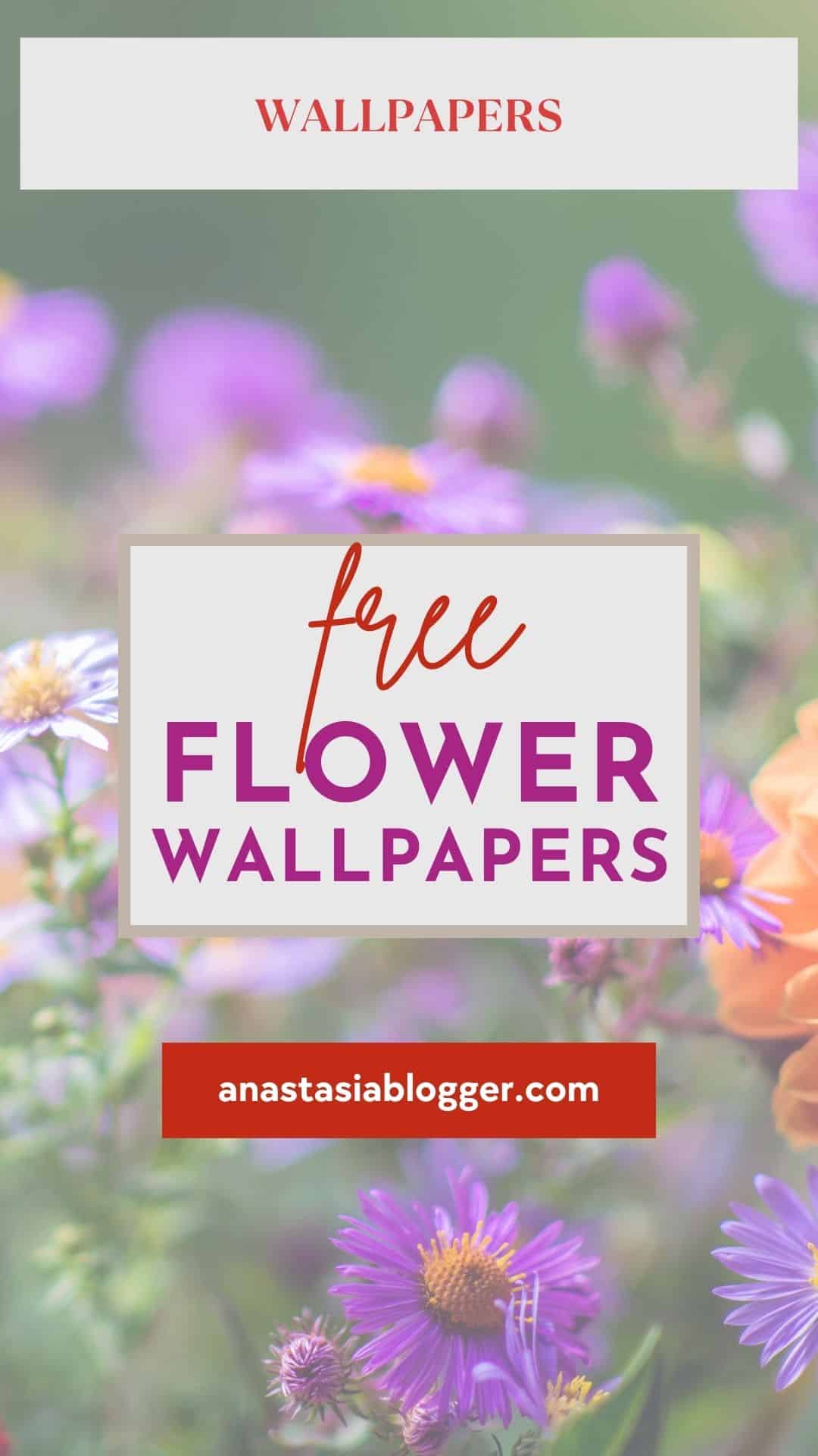 free flower wallpaper background