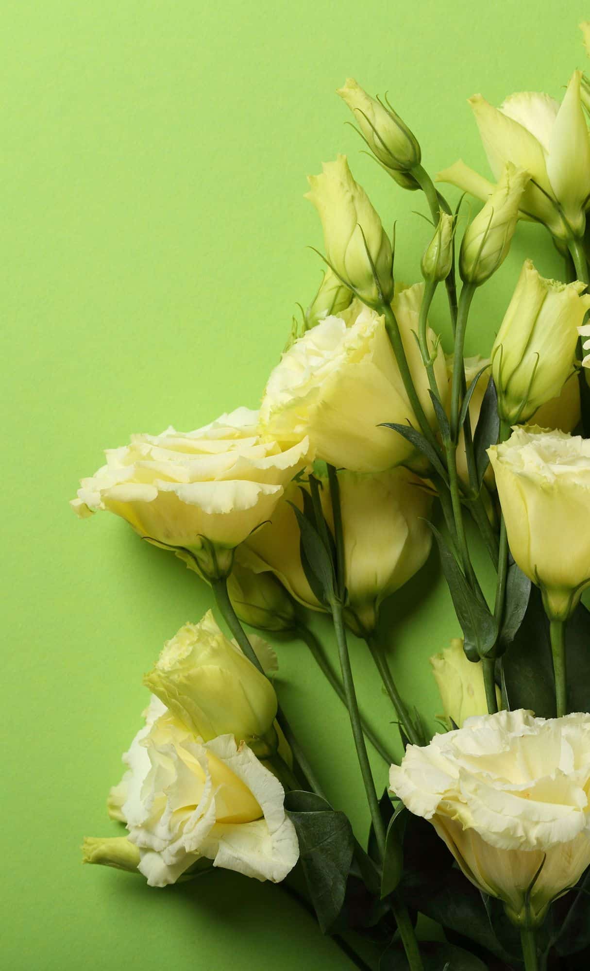 floral wallpaper 