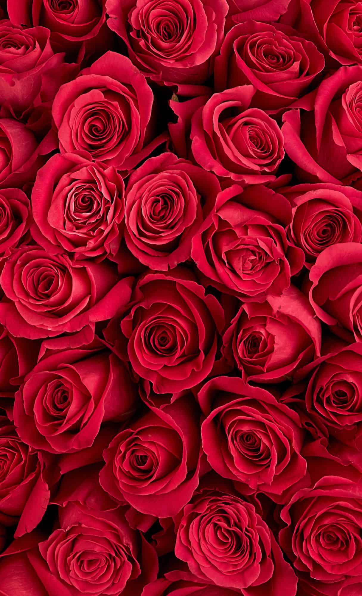 free pretty wallpapers