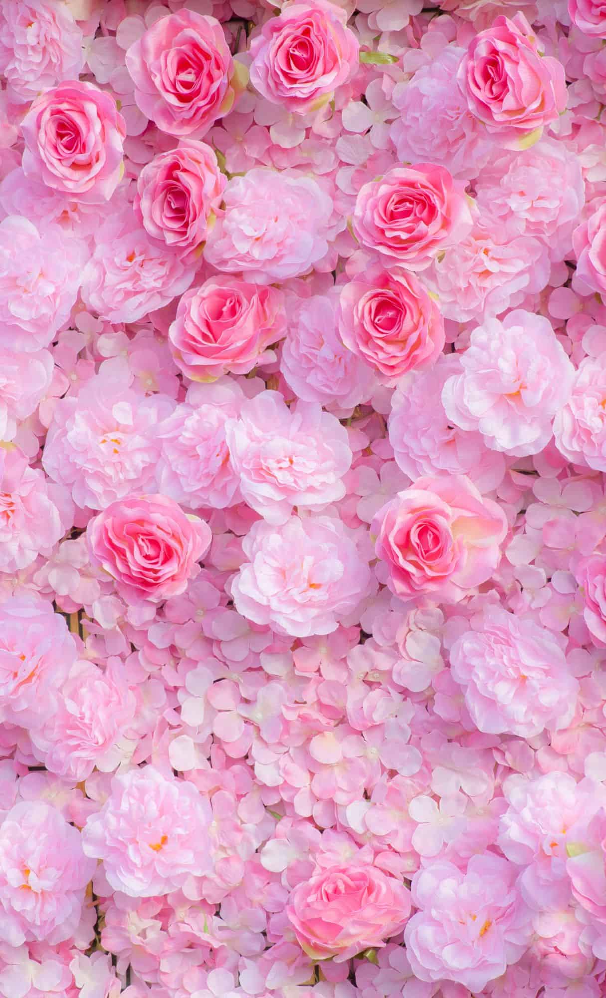 free pretty wallpapers