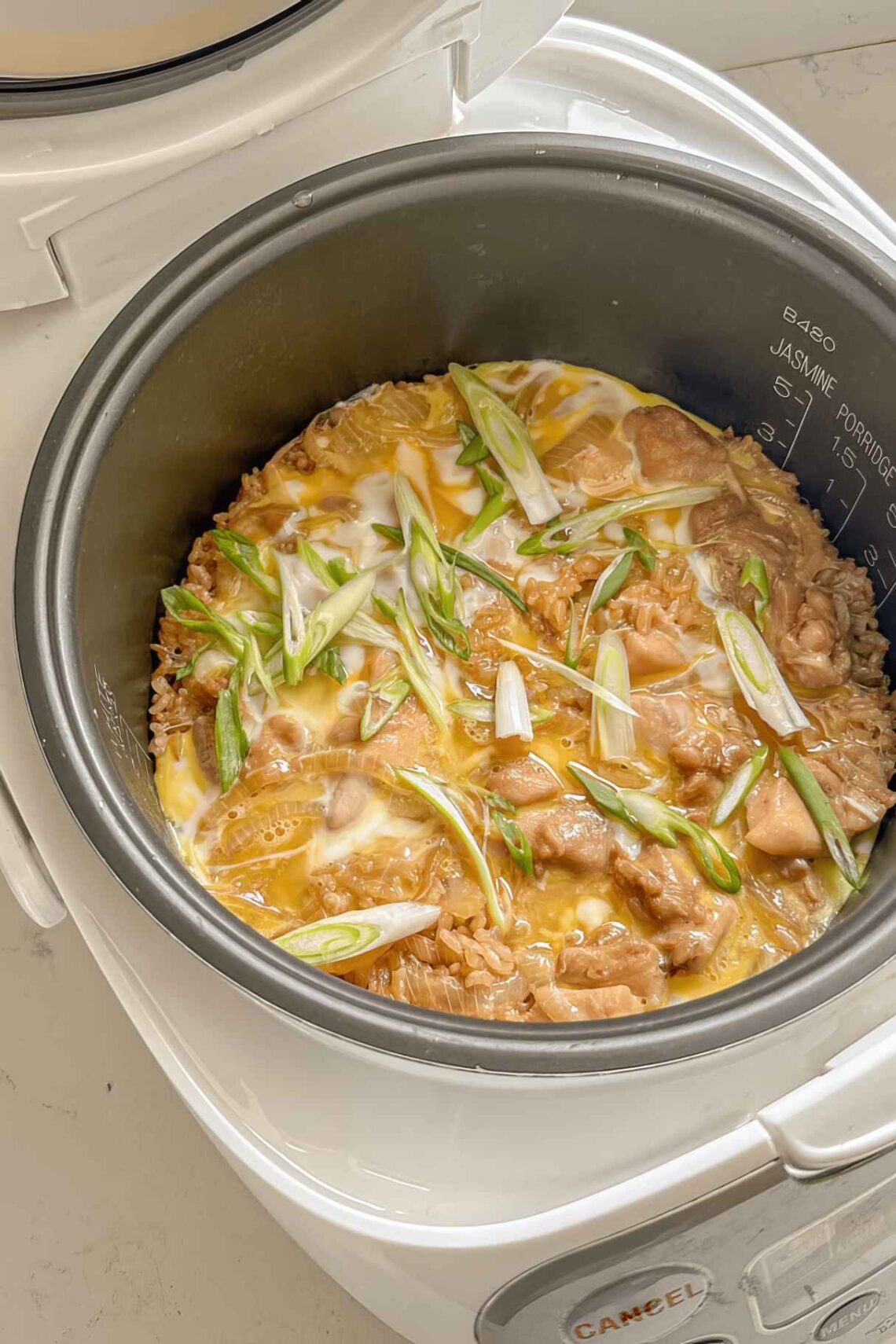 20 Easy Rice Cooker Recipes - Anastasia Blogger: How to Start a Blog ...