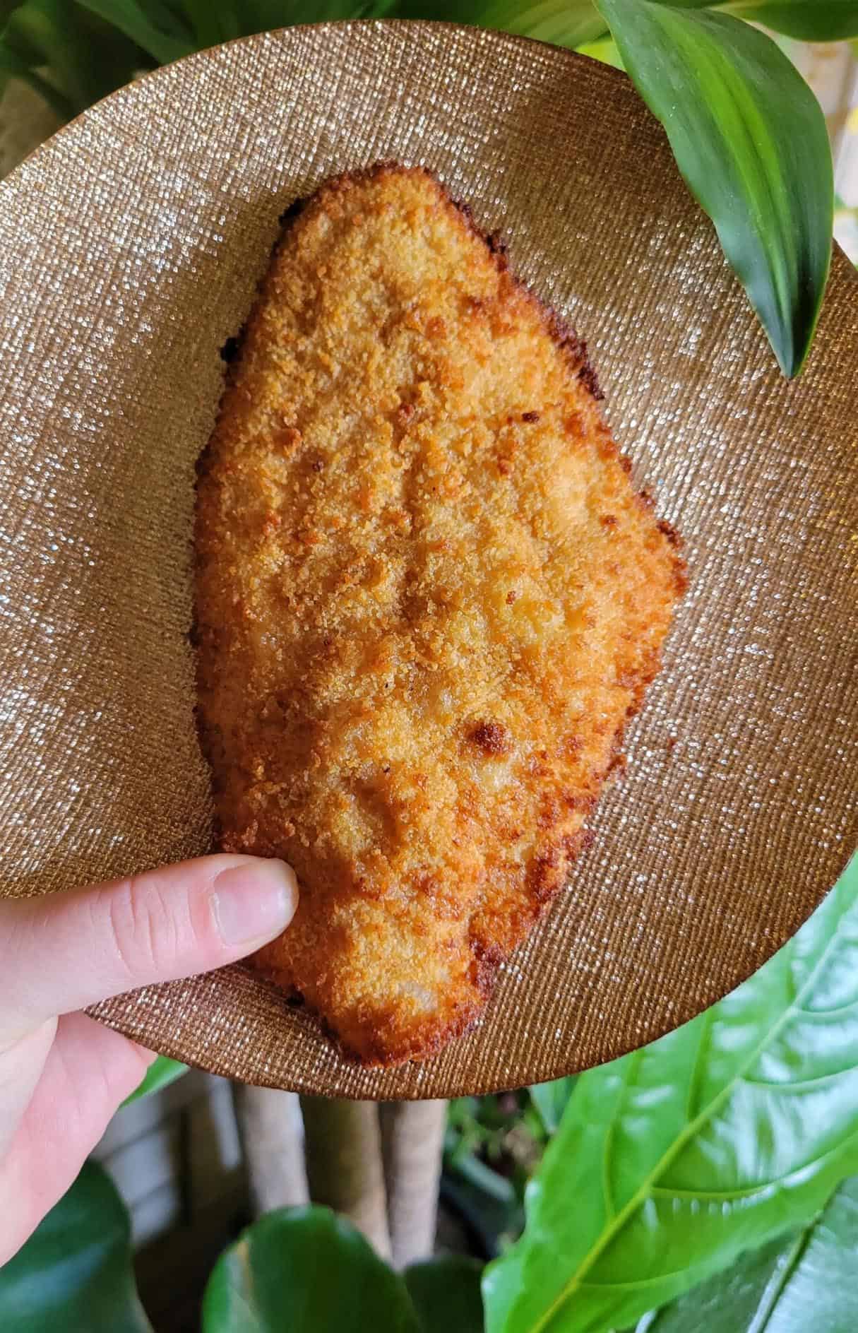 Air Fryer Catfish