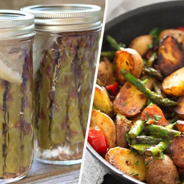 Asparagus Recipes
